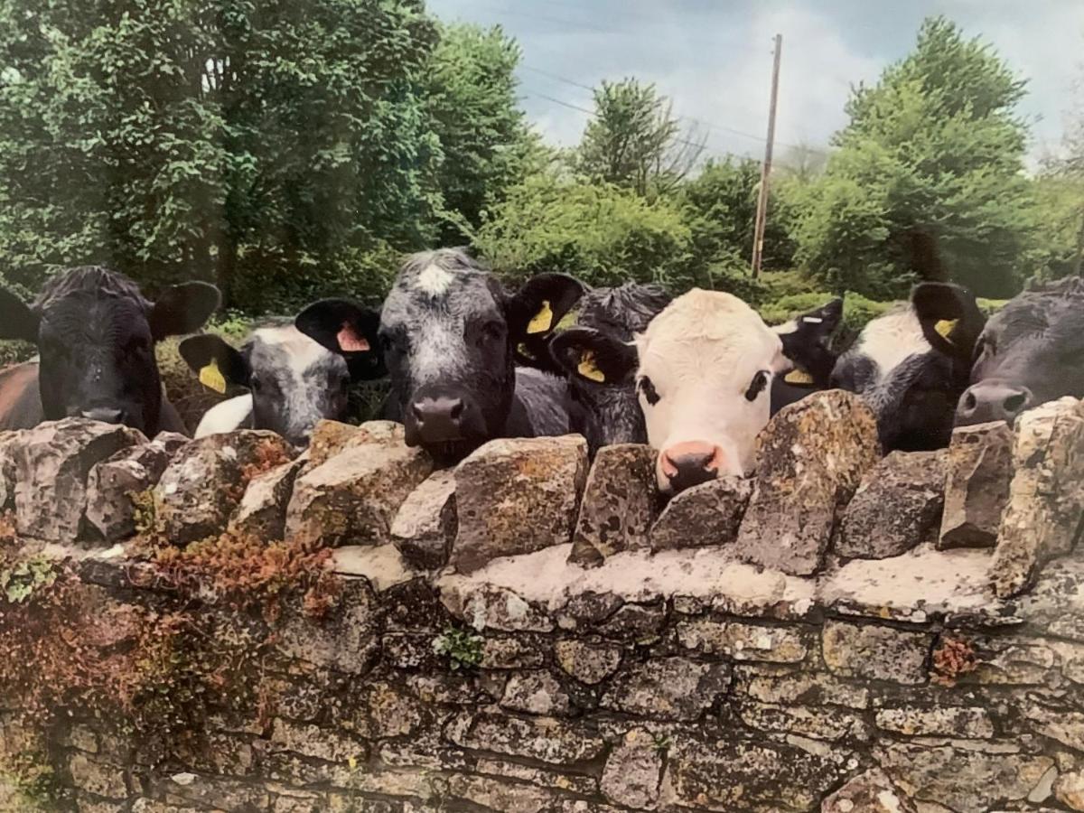 Appartamento The Milking Sheds Tytherington  Esterno foto