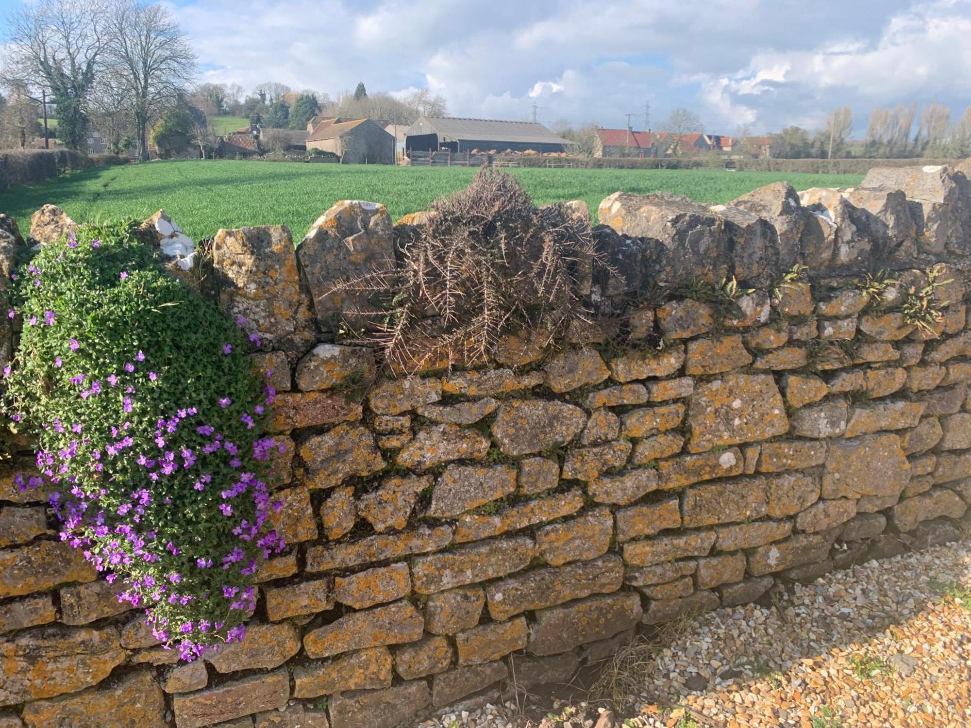 Appartamento The Milking Sheds Tytherington  Esterno foto